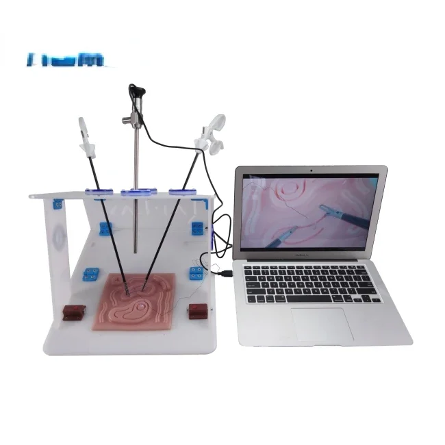 Laparoscopic Endo Trainer with - Woodworking Simulator ulasan dan harga